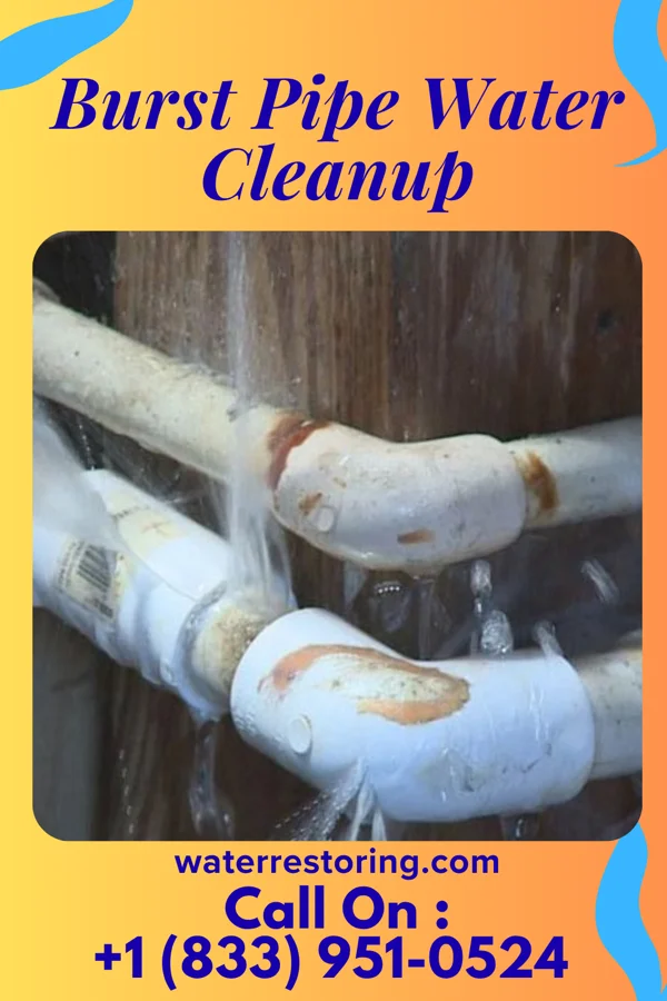 Burst Pipe Water Cleanup in Kettering, MD