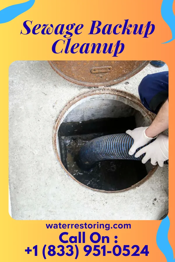 Sewage Backup Cleanup in Kettering, MD